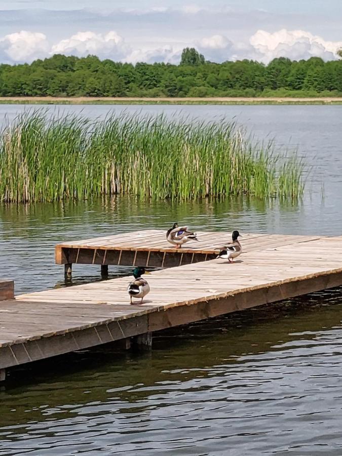 Domki Lawendowy Zakatek Boszkowo Zewnętrze zdjęcie